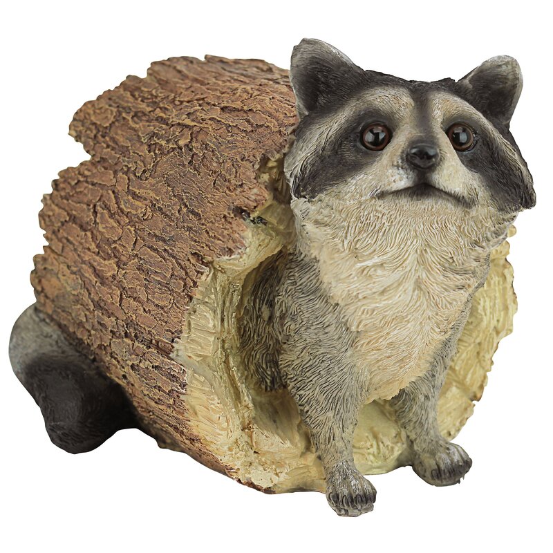 raccoon yard statues